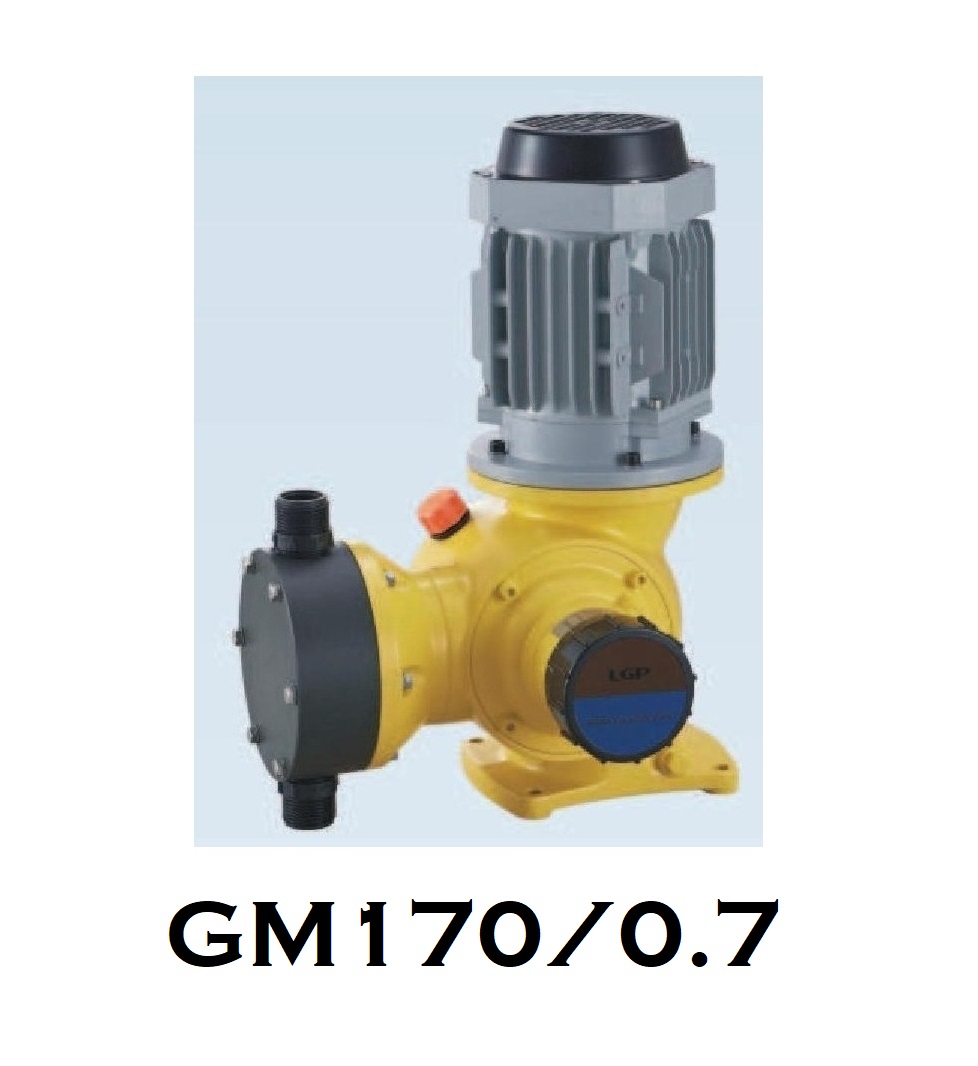 Pompa Dosing GM PTFE Mechanical Diaphragm Metering Pump 170 LPH - 3/4" x 3/4"