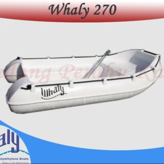 Perahu Whaly 270