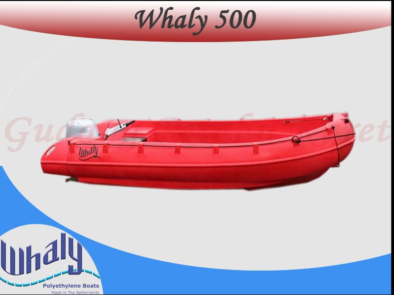 Perahu Whaly 500