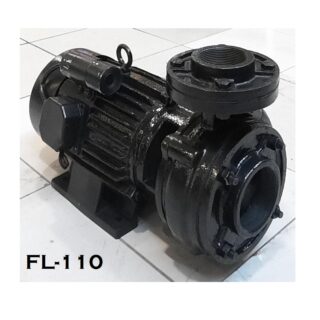 Centrifugal Monoblock Water Pump FL-110 Pompa Air - 2.5" x 2"