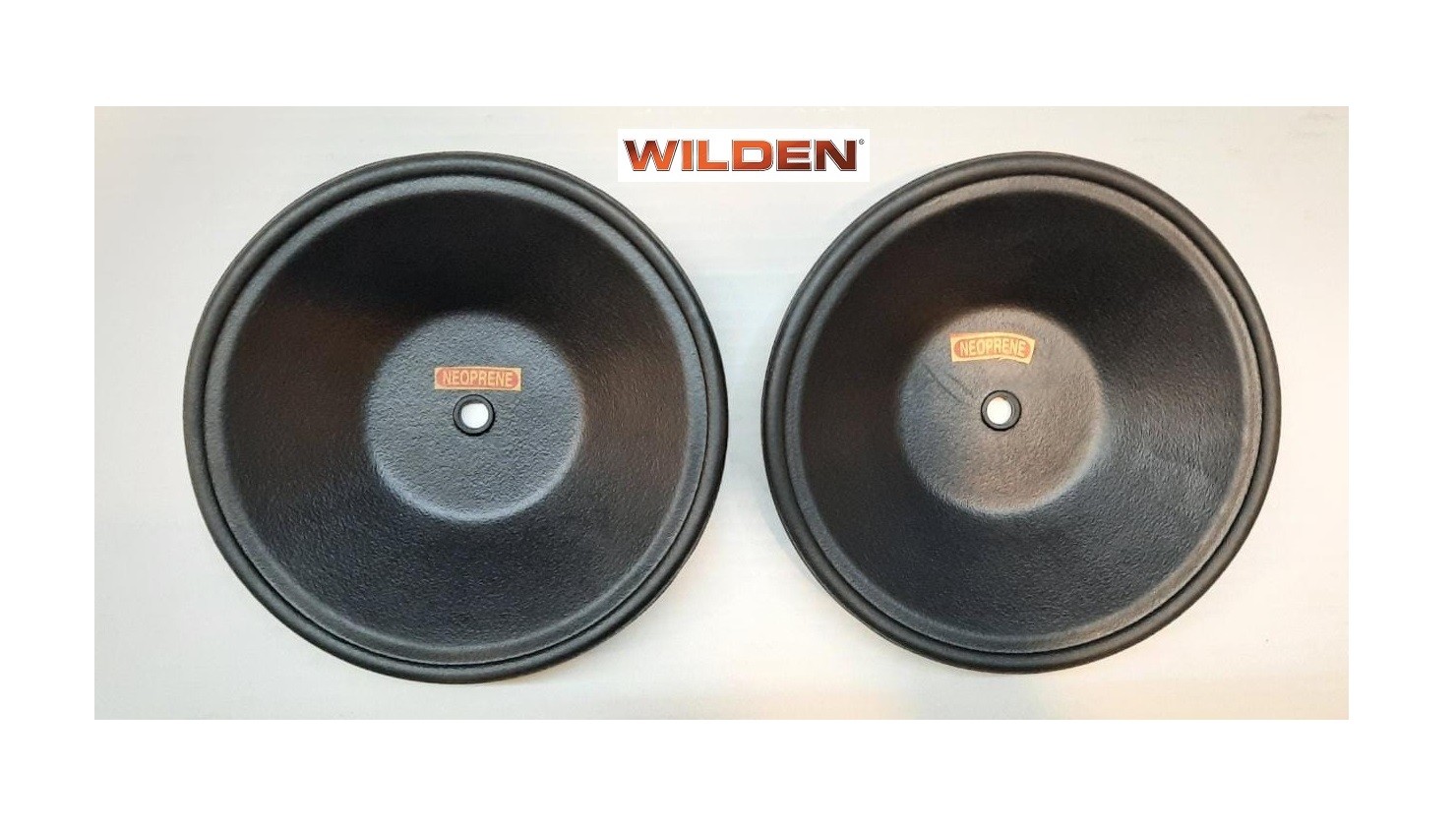 Diaphragm Wilden Pump 1" Neoprene - 2 Unit
