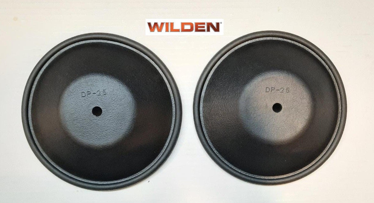 Diaphragm Wilden Pump 1" Neoprene - 2 Unit - Image 2