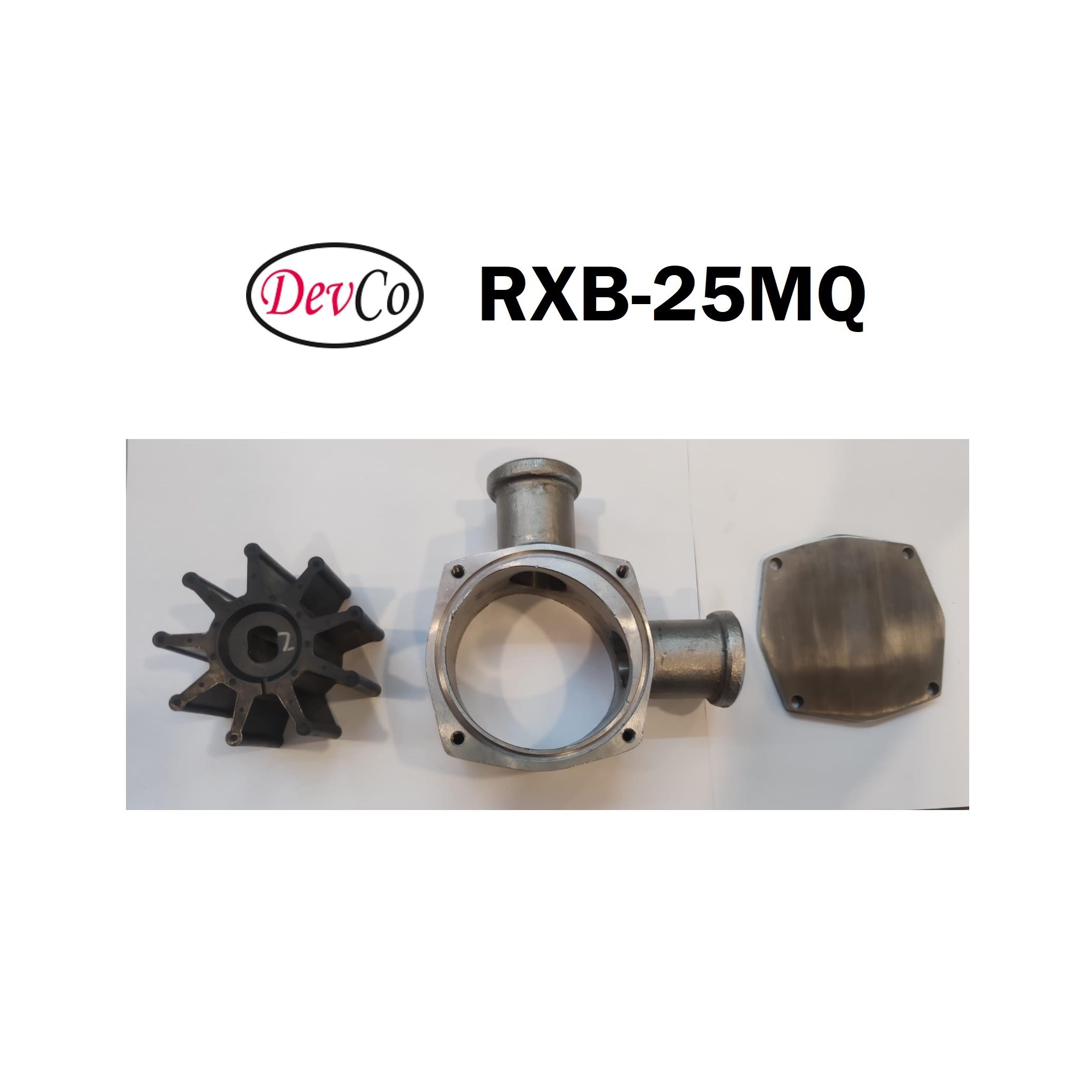 Flexible Impeller Pump SS-304 RXB-25MQ Pompa Impeler Karet - Image 4
